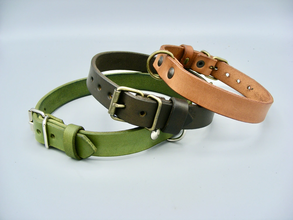 Obojek Klasik, šíře 2cm